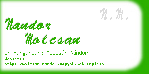 nandor molcsan business card